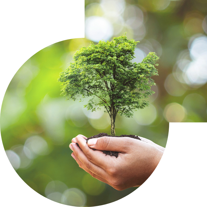 关怀人类、文化、环境与社会